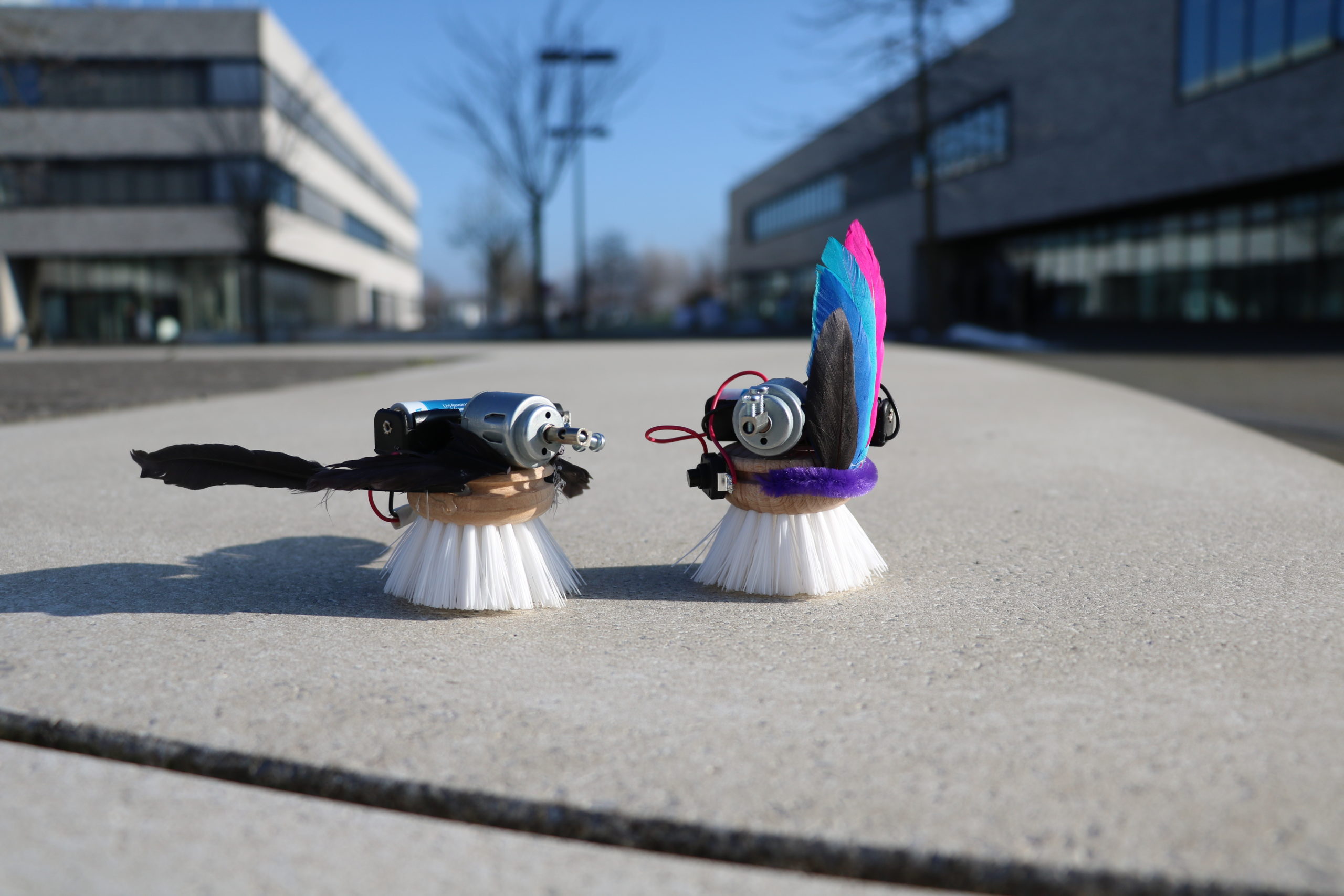 Zwei kleine selbstgebaute Bürstenroboter