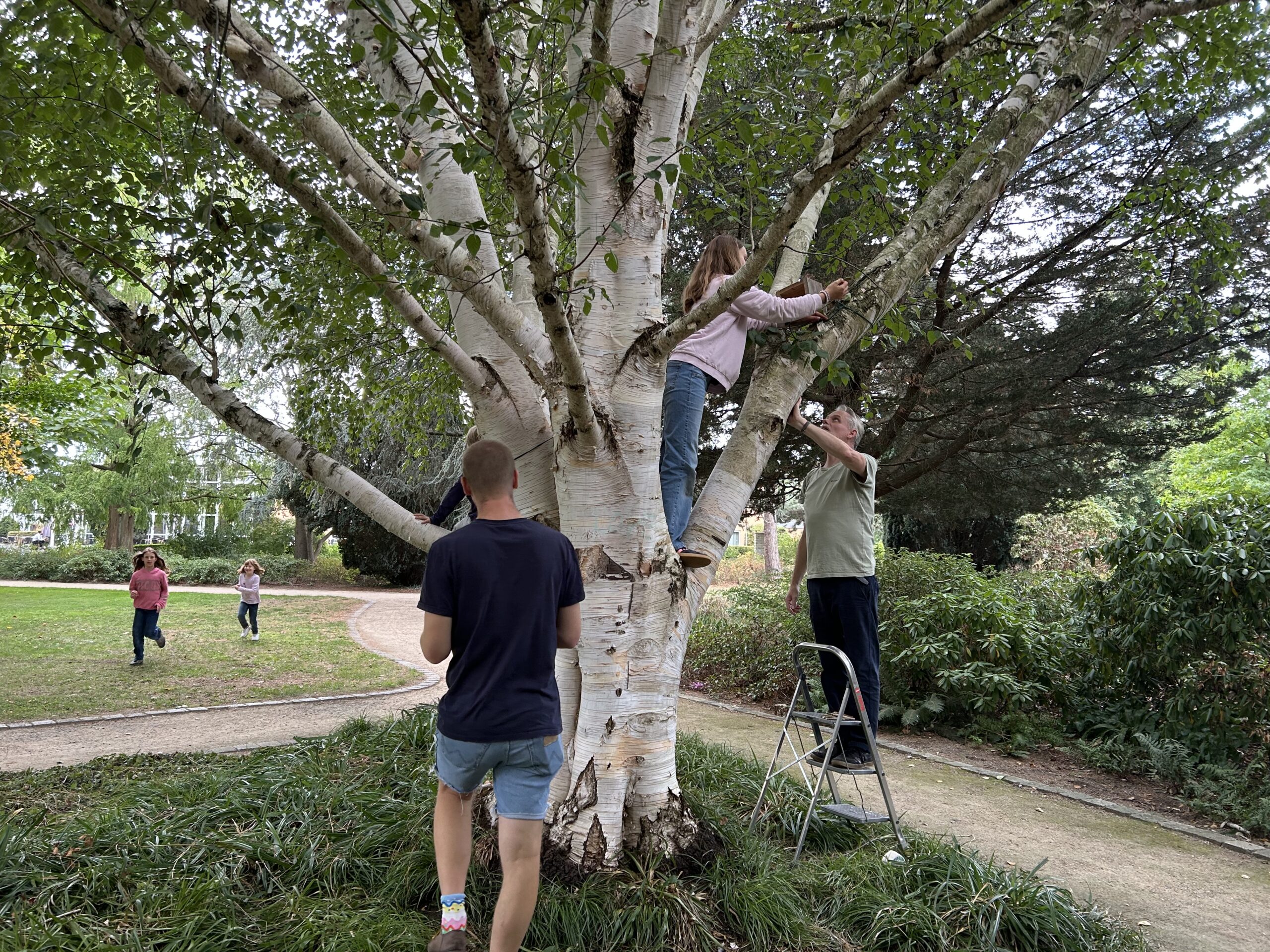Kinder und Erwachsene hängen Bienennisthilfenin Baum auf