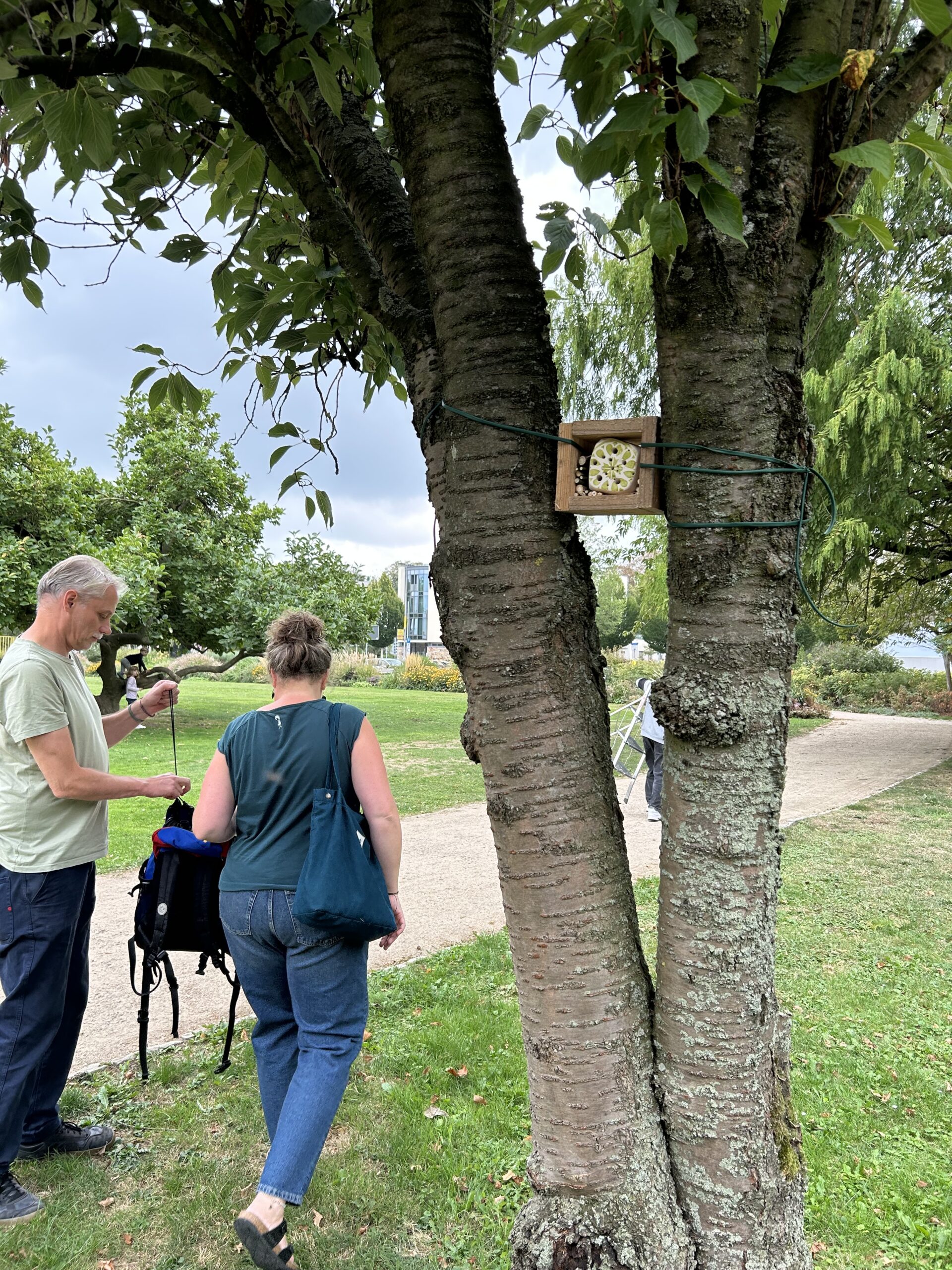 Bienennisthilfe im Baum