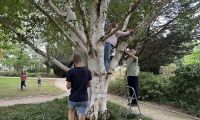 Kinder und Erwachsene hängen Bienennisthilfenin Baum auf