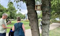 Bienennisthilfe im Baum