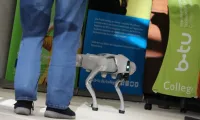 Roboter-Hund