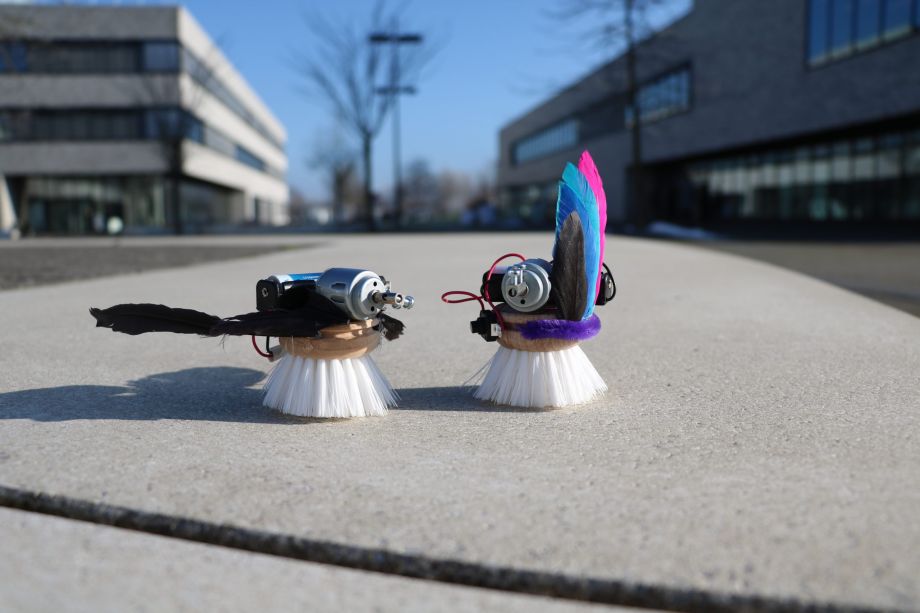 Zwei kleine selbstgebaute Bürstenroboter