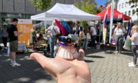 Bürstenroboter